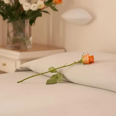 Ambra - Fronte Mare - Vicinissimi Al Centro