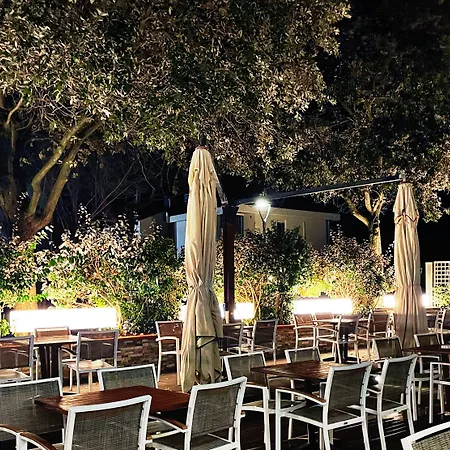 Hotel Ambra - Fronte Mare - Vicinissimi Al Centro